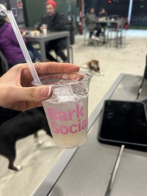 Bark Social by null