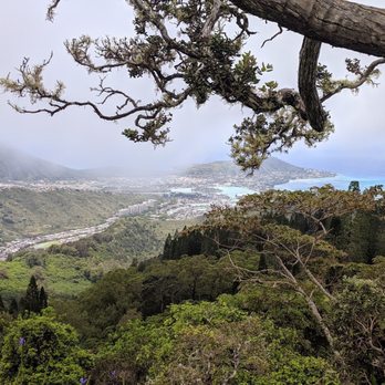 Kuliouou Ridge Trail - Hiking Near Me - Honolulu, Hawaii Kuliouou Ridge Trail - Hiking Near Me - Honolulu, Hawaii