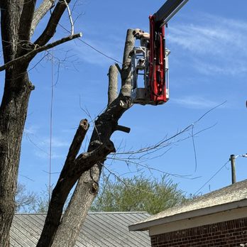 Nichols Tree and Lawn Care Services - Tree Services Near Me - Hartman, Arkansas Nichols Tree and Lawn Care Services - Tree Services Near Me - Hartman, Arkansas