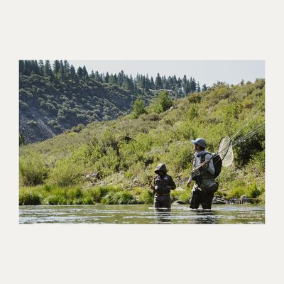 Matt Heron Fly Fishing by null