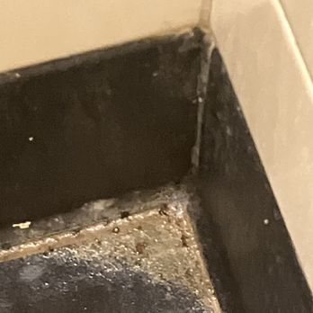 Boudin SF - Looks like rodent droppings in the men's room - Bakeries Near Me - San Diego, California Boudin SF - Looks like rodent droppings in the men's room - Bakeries Near Me - San Diego, California