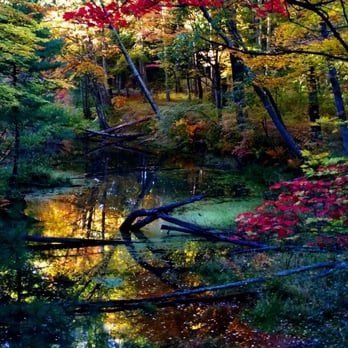 Mine Falls Park - Parks Near Me - Nashua, New Hampshire Mine Falls Park - Parks Near Me - Nashua, New Hampshire