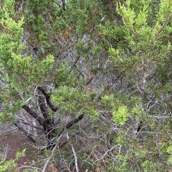 4B Land Surveying - Land Surveying Near Me - Tolar, Texas 4B Land Surveying - Land Surveying Near Me - Tolar, Texas