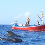 Photo of Oceano Gomera