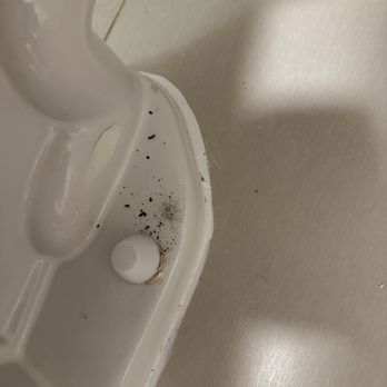 Residence Inn by Marriott Deptford - Dirty toilet...looks like ash? - Hotels Near Me - Deptford, New Jersey Residence Inn by Marriott Deptford - Dirty toilet...looks like ash? - Hotels Near Me - Deptford, New Jersey