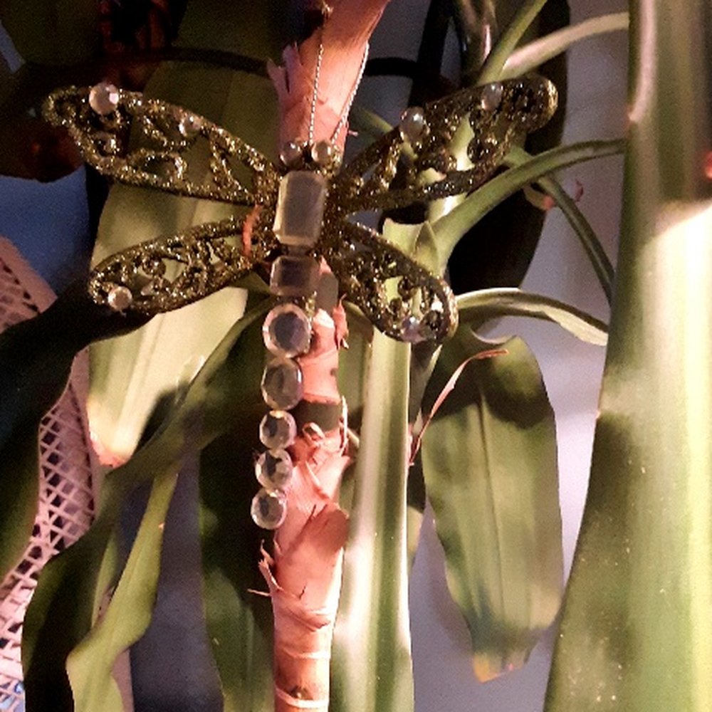 Hamlet Farm - bad photo... dragonfly is very green and sparkly --great bargain at 75¢ ! - Nurseries & Gardening Near Me - Forestville, New York Hamlet Farm - bad photo... dragonfly is very green and sparkly --great bargain at 75¢ ! - Nurseries & Gardening Near Me - Forestville, New York