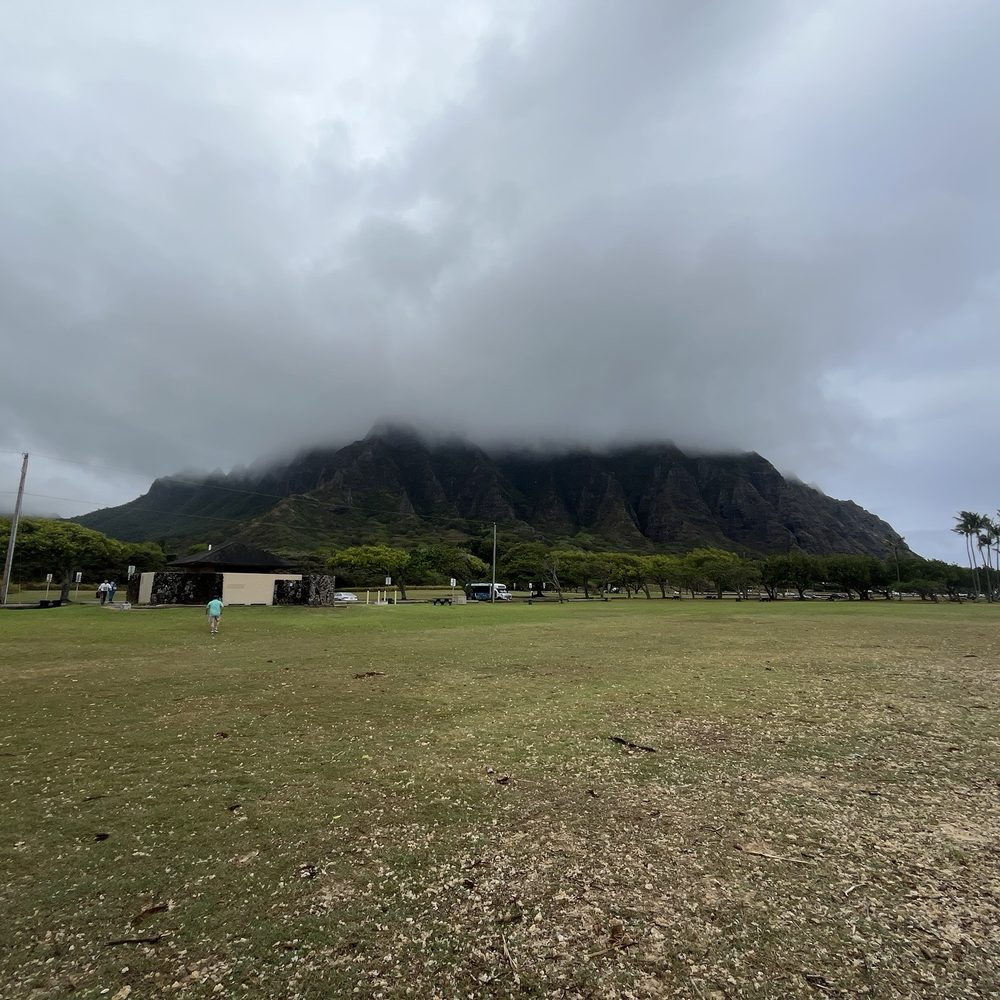 Aloha Hawaii Tours - Bus Tours Near Me - Honolulu, Hawaii Aloha Hawaii Tours - Bus Tours Near Me - Honolulu, Hawaii