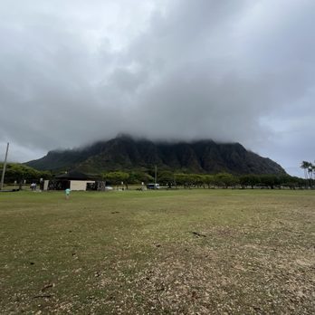 Aloha Hawaii Tours - Bus Tours Near Me - Honolulu, Hawaii Aloha Hawaii Tours - Bus Tours Near Me - Honolulu, Hawaii