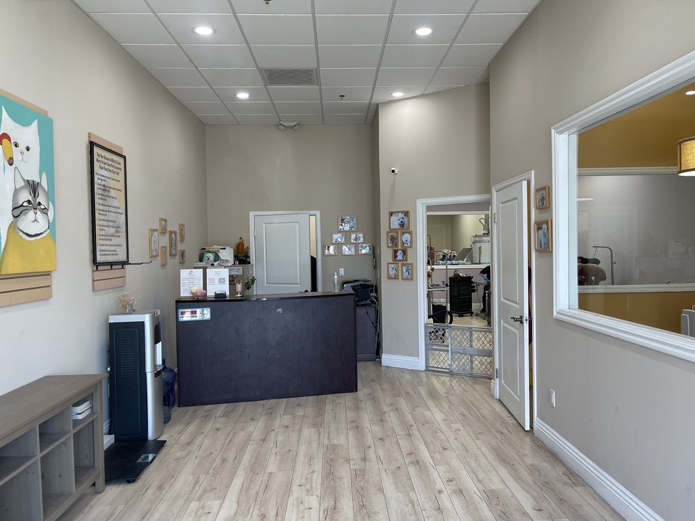 A+ PET GROOMING Updated October 2024 225 Photos & 163 Reviews