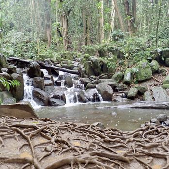 Kayak Wailua Tours - A small stream - Tours Near Me - Kapaa, Hawaii Kayak Wailua Tours - A small stream - Tours Near Me - Kapaa, Hawaii