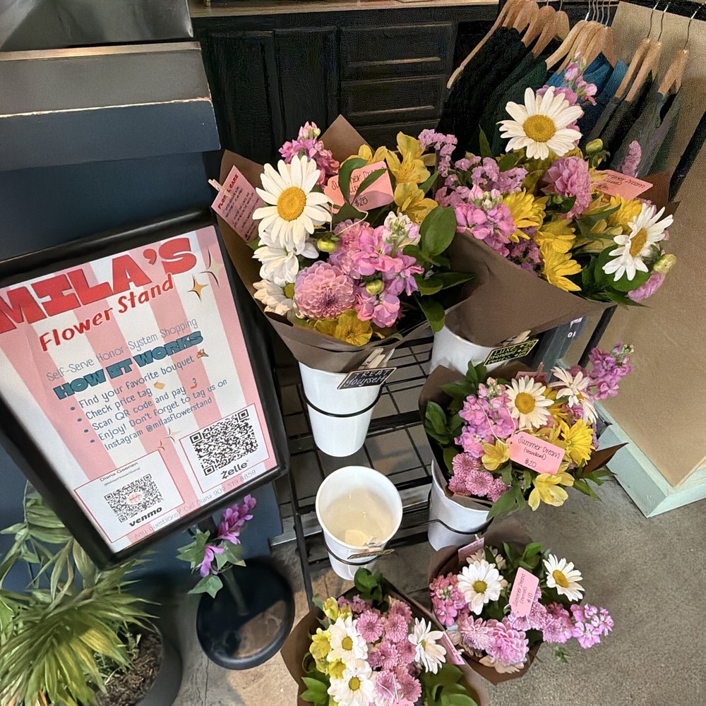Dreamwave Coffee - Coffee Roasteries Near Me - Carlsbad, California Dreamwave Coffee - Coffee Roasteries Near Me - Carlsbad, California