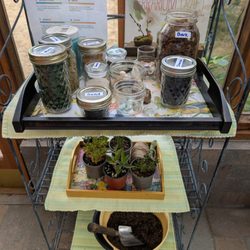 Greenhouse Gatherings PDX - Build a miniature terrarium