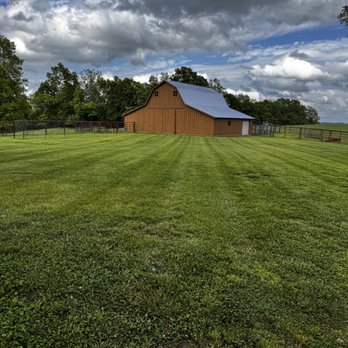 Zaiger Lawn Care - Lawn Services Near Me Zaiger Lawn Care - Lawn Services Near Me