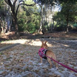 Murphy Springs Park