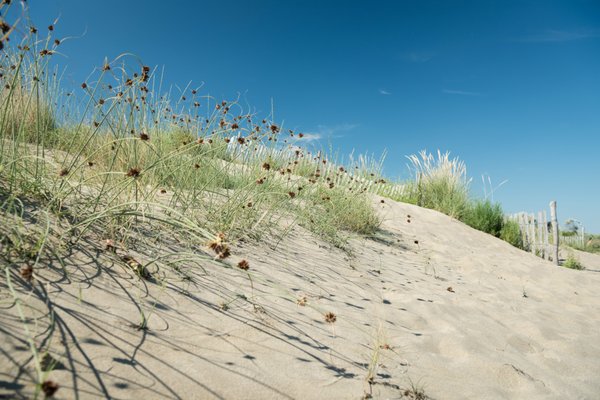 Camping Ca 'Savio by null