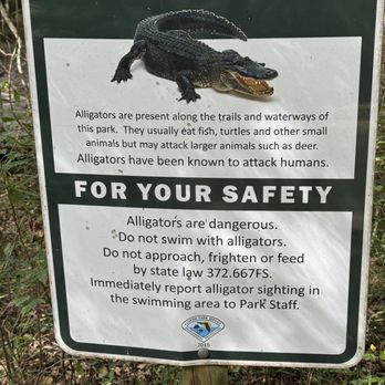 Ponce de Leon Springs State Park - Don't swim with these guys - Parks Near Me - Ponce De Leon, Florida Ponce de Leon Springs State Park - Don't swim with these guys - Parks Near Me - Ponce De Leon, Florida