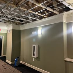 American Community Management - Damaged hallway (they were using my electricity to conduct mitigation is common area that I'm not responsible for)