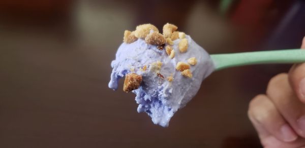 Fosselman's Ice Cream Co. by null