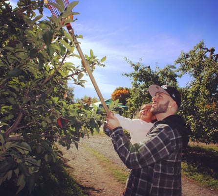 Wilklow Orchards by null