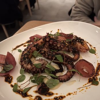 SARA - Octopus - Canadian (New) Near Me - Toronto, Ontario