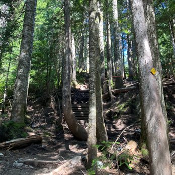 BCMC Grouse Trail - Hiking Near Me - North Vancouver, British Columbia
