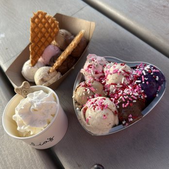 Andia's Ice Cream - Pup cup! - Ice Cream & Frozen Yogurt Near Me - Cary, North Carolina Andia's Ice Cream - Pup cup! - Ice Cream & Frozen Yogurt Near Me - Cary, North Carolina