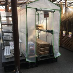 The Best 10 Pet Stores In Okayama 岡山県 Japan Last Updated July 21 Yelp