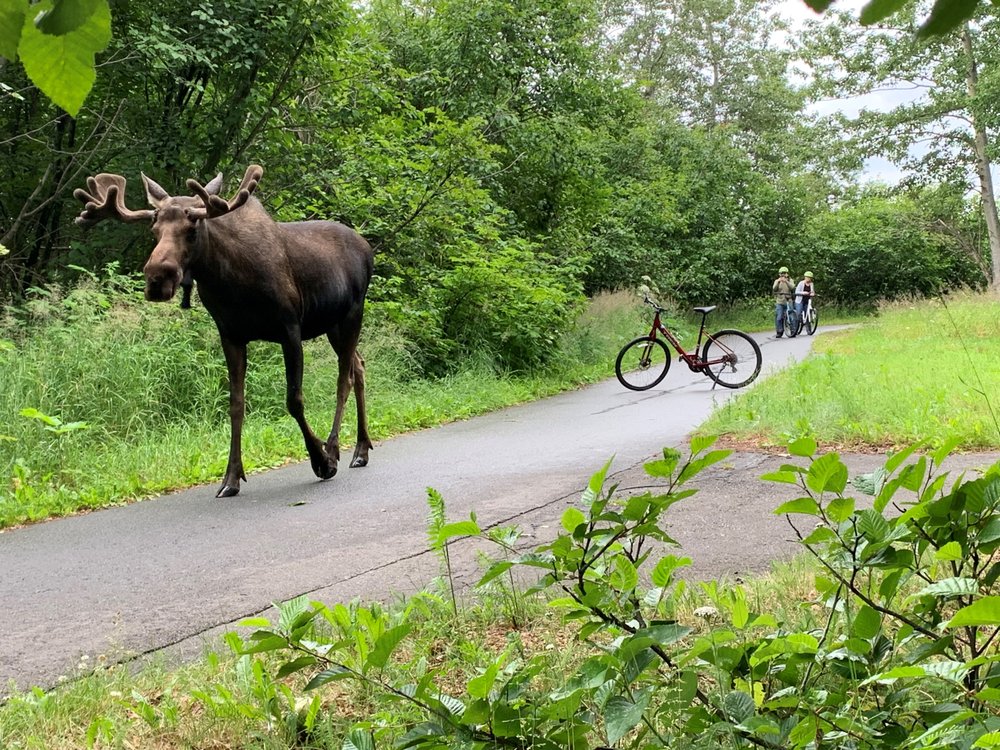 TREK BICYCLE STORE OF ANCHORAGE RENTAL KIOSK 10 Photos 440 L St