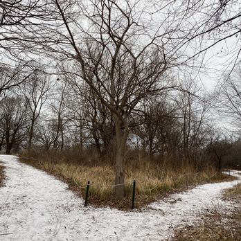 Montrose Point Bird Sanctuary - Different paths that I'm sure abound with many birds in the warmer months - Hiking Near Me - Chicago, Illinois Montrose Point Bird Sanctuary - Different paths that I'm sure abound with many birds in the warmer months - Hiking Near Me - Chicago, Illinois