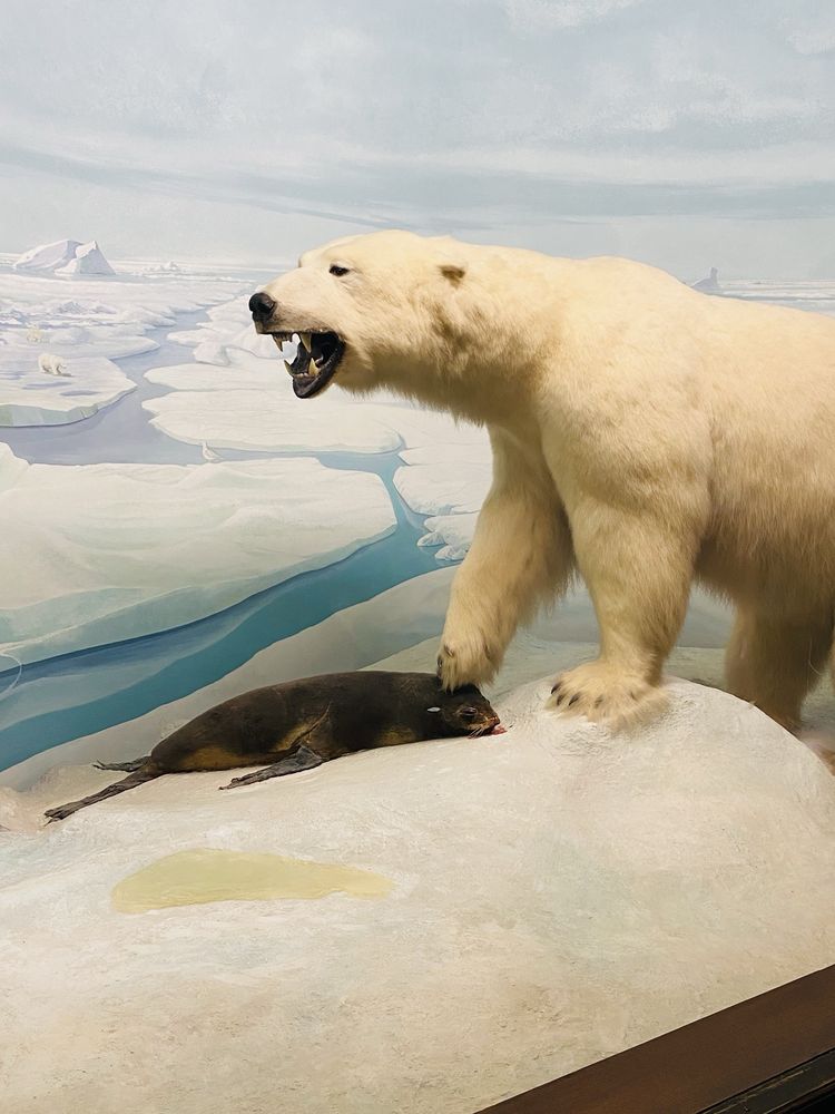 Social spots from Academy of Natural Sciences