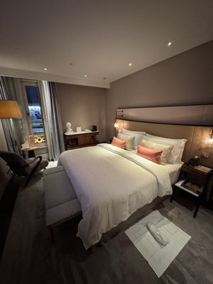 The St. Regis Venice by null