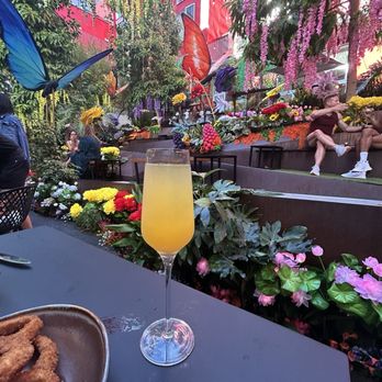 insideOUT - Mimosa - Lounges Near Me - San Diego, California
