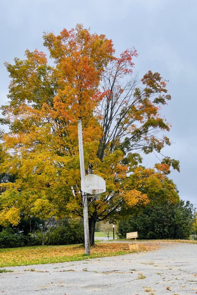 Michelles Family Daycare - childcare center in Windsor, ME