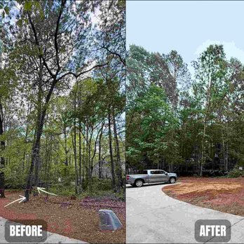 BW Tree Removal - Three trees removed beside a concrete driveway in Aiken, SC, using careful removal techniques to avoid surface damage. - Tree Services Near Me - Aiken, South Carolina BW Tree Removal - Three trees removed beside a concrete driveway in Aiken, SC, using careful removal techniques to avoid surface damage. - Tree Services Near Me - Aiken, South Carolina