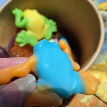 Rad Candy Company - Gummy Frogs - Ice Cream & Frozen Yogurt Near Me - Tipp City, Ohio