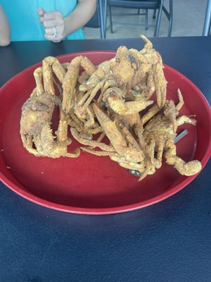 Bluebird Fish Camp by null