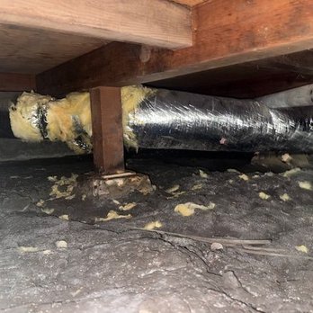 Pro Insulation & Rodents - Insulation Installation Near Me