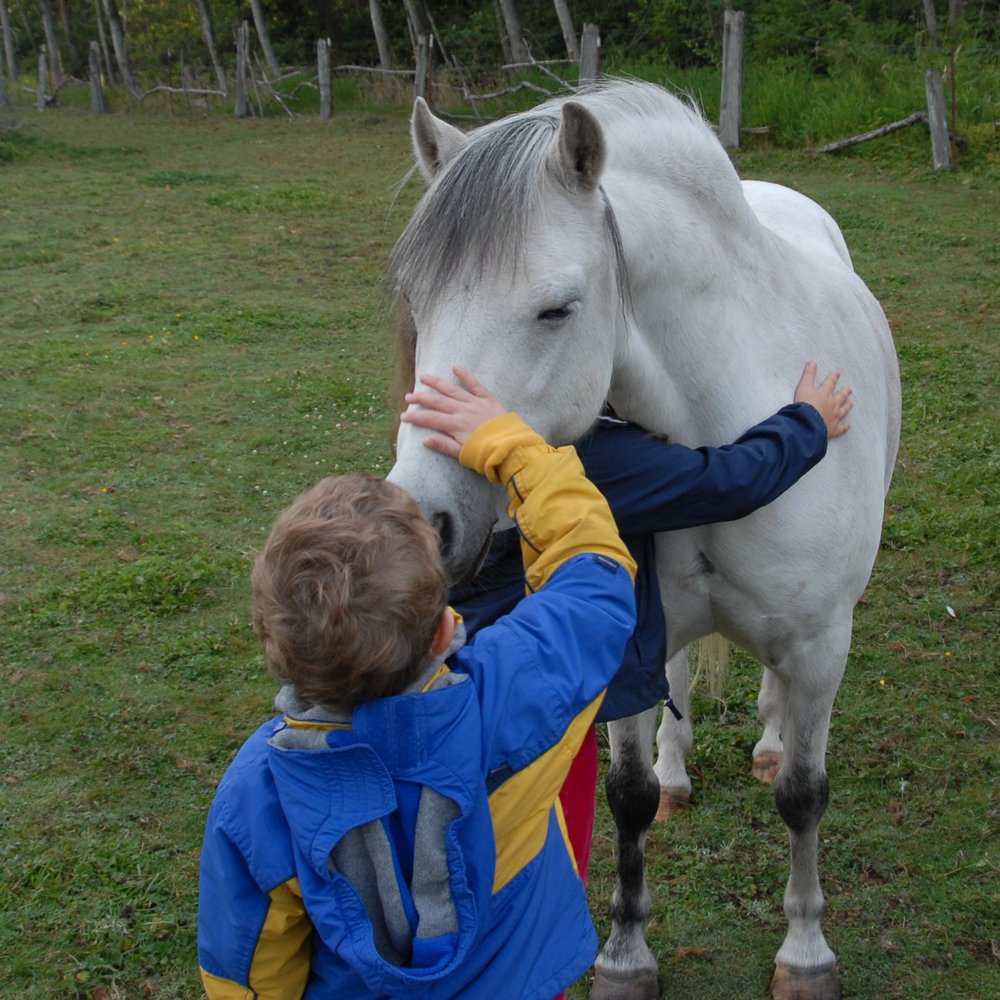 magic. A pony trained by Bonnie. magic. A pony trained by Bonnie.