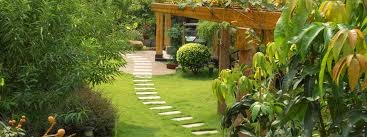 Beales lawn Service LLC