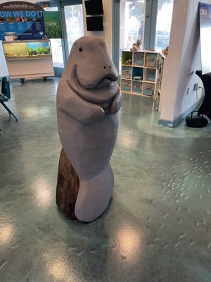 MANATEE OBSERVATION AND EDUCATION CENTER - Updated January 2025 - 56