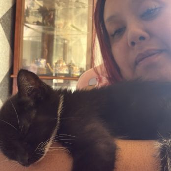 San Diego Humane Society - Sleeping on my arm - Animal Shelters Near Me - Oceanside, California San Diego Humane Society - Sleeping on my arm - Animal Shelters Near Me - Oceanside, California