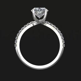 A 3d rendering of the ring I customized