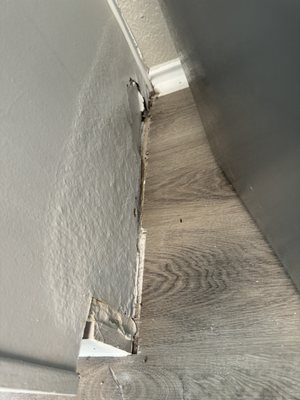 Evergreen Property Company