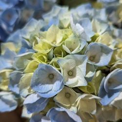 Northern Farm & Flowers