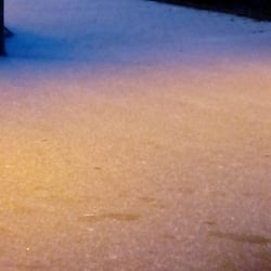 Lille - Gelée au sol , et neige ce matin..