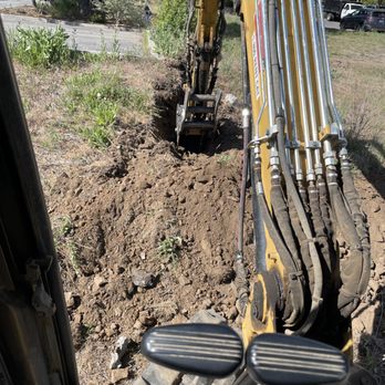 Machin Enterprises - Mainline dog for commercial project. - Landscaping Near Me Machin Enterprises - Mainline dog for commercial project. - Landscaping Near Me