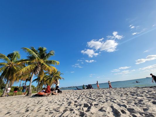 Hobie Island Beach by null