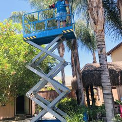 Riser Forklift | Mobile Service & Repair - Trimming my Palm Trees again X 25