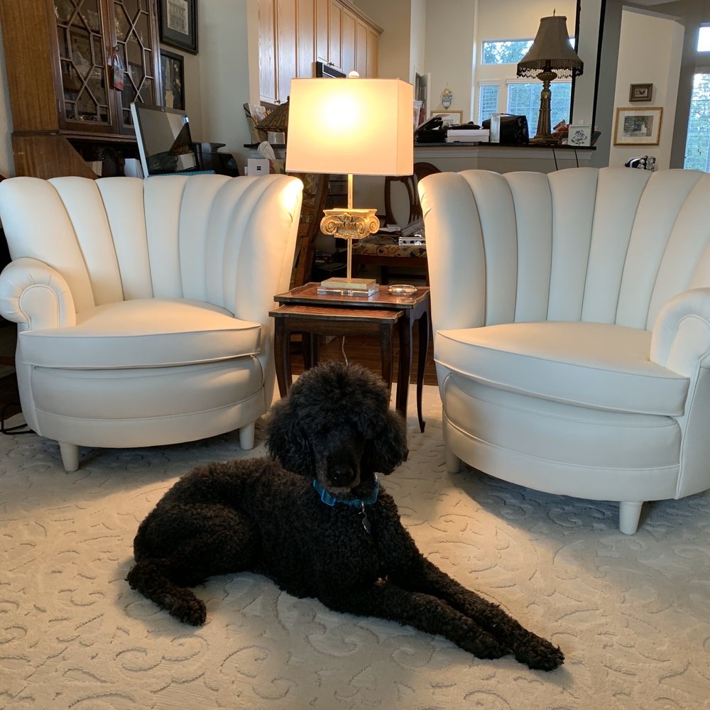 Barrel chairs reupholstered by Sandy's Upholstry in Lake Travis. Barrel chairs reupholstered by Sandy's Upholstry in Lake Travis.
