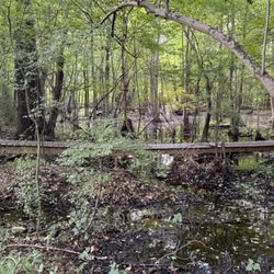 Wildwood Park